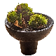  Black Wooden Flower Vase Art Ornaments Dry Flower Pot Home Decoration