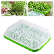  Plastic Bean Hydroponic Garden Peanut Sprout Box Seedling Germination Plate Cat Grass Wheatgrass Soilless Hydroponics Planting Pots
