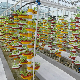  Greenhouse Soilless Culture Hydroponics Stack Vertical Flowerpot Vegetable Pot