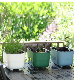  Home Decor Raised Garden Bed Eco-Friendly Planter Raised Beds with Multiple Drainage Holes and Cotton Strips (TR-04W-1)