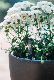  Indoor Plants Flower Pot Water Plants Grow Tracking Tool Self Watering Planters