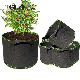  Potato Garden Supplies Strawberry Vegetable Fruit for Grow Bags 60-100 Gallons