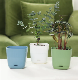  Low Price Plastic Plant Pots for Succulents Bonsai with Self-Watering Functions and Drainage Hole (TR-03L-1)