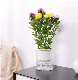  High Quality Wholesale Planter Pot for Indoor Plant Pots Macetas Self-Watering Planters for Indoor Plants (TR-01S-2)