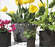  Geotextile Fabric Felt Garden Planting Planter, Good Price