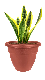  Caribbean Round Planter Lightweight Indoor Outdoor Plastic Drainage Plug Honey Plant Pot