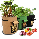  Garden Supplies Potato Strawberry Seedlings Biodegradable Poly PE Fabric Plant Grow Bag