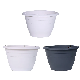  New Design Hanging Basket Planter Plant Hanging Basket Holder Plants Garden Decoration Use Colgantes Macetas (DP-20-2)