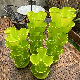  Planting Strawberry 3D Plastic Flower Planting Pot Small Planter Nursery Bucket