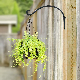 Stable and Sturdy Plant Hooks Hanging Bracket Outdoor Hangers Ci21113