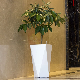  Office Decoration Plastic Pots Eco-Friendly Flower Plastic Pots for Succulents Herb Baking Varnish for Indoor Use (SJ05-5)