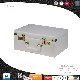 2023 New Design Fashion Cute White Lady′ S Leather Antique Travelling Suitcase