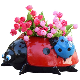  Resin Ladybug Flowerpot Garden Sketches Simulation Animal Pot Whimsical Ceramic Ladybug Planter Pot Outdoor Yard Lawn Decoration Bl21979