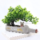 Artificial Bonsai Tree in Cement Pot Fake Flower Simulation Plant Potted Ci24796