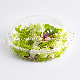 Clamshell Design Hinged Lid Airtight Plastic Food Container for Fruit/Vegetable/Meal