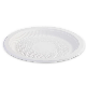 Biodegradable Cornstarch 10inch Disposable BBQ Food Plate manufacturer