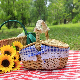  Rattan Outdoor Picnic Basket Country Style Wicker Basket with Lid and Handle Quality Liners Food Fruit Storage Carrying
