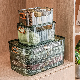 Pet Plastic Desktop Storage Basket for Cosmetics Underwear