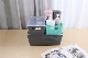 Plastic Home Bathroom and Kitchen Storage Box with Lid