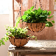 Metal Hanging Planter Basket with Coco Coir