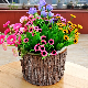  Round Nature Color Chinese Fir Planter Flower Pot Three Size Per Set