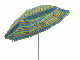  Side Pole Polyester Promotional Outdoor Garden Beach Umbrella (U5026)
