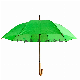  Wooden Shaft Auto Open Straight Umbrella