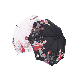  Logo Custo Thin Pole Cute Design Girls 8 Ribs Fashionable Open Straight Umbrellas