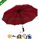  High Quality Automatic Folding Umbrella Gift Umbrellas with 10 Ribs (FU-31023BAF)