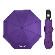 Premium Quality Automatic Wind Proof Durable Travel Purple Fold Umbrella with Logo