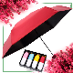  Ultra Light Mini 5 Folding Umbrella Windproof Lovely Capsule Case Pocket Size Fully Blocks Heat Birthday Gift