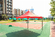  10X10FT Most Popular outdoor Trade Show Tent for Sale