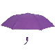  21“ X8k Auto Open 2 Fold Umbrella (2FU007)
