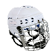  Plastic Professional Ice Hockey Helmet Visors for Protection