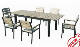  Outdoor Table and Chair Set (F1136)