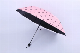 Black Tape Easy to Carry Children Cover Umbrella Wholesale Cheap Price