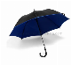 Advertising Wholesale Two Layers Windproof Auto Open Straight Umbrella