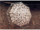  Romantic Imitation Lace Transparent Large Long Rain Wind Umbrella for Lolita