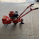 Latest Agriculture Machine Hand Held Weeder 30cm