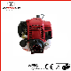  Professional Hot Selling Gasoline Lawn Mower of Gx35 4 Stroke