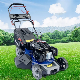 20 Inch Push Lawn Mower for Garden manufacturer