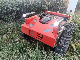  Home Use Big Field Grass Flail Remote Control Lawn Mower