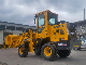  China Shantui Brand New 3 Ton Small Wheel Loader with Parts for Sale