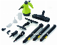 350ml Direct High Temperature Good Quality Handle Steam Cleaner manufacturer