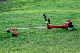 Professional 50.8cc Brush Cutter manufacturer