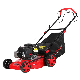 4 Wheel Small Gasoline Lawn Mower 16 Inch 17 Inch 18 Inch 19 Inch 20 Inch 21 Inch 22 Inch Petrol Grass Mower Cutter Garden Tool Battery Lawnmower