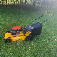  22inch Best Walk-Behind Lawn Mowers
