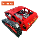 Factory Direct Selling Gasoline Side Cropper Moving Garden Trimmer Lawn Mower