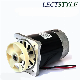 24 450W DC Lawn Mower Robot Direct Drive Electric Motor