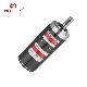  12V 24V BLDC Engine Brushless DC Gear Motor for Lawn Mower